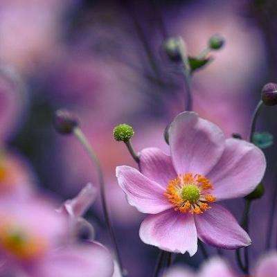 AG官方入口app截图