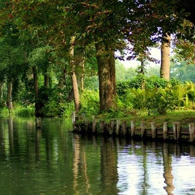 雷竞技app官方版下载截图