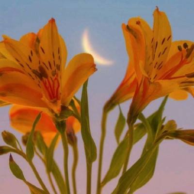 购彩中心welcome入口官方版下载手机版