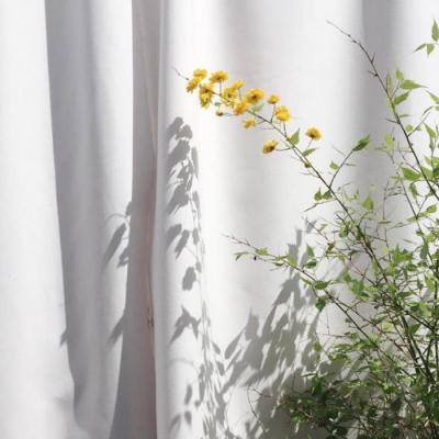 澳门天天免费资料大全下载app下载