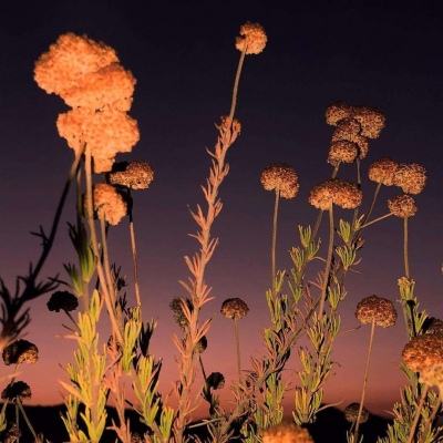 半岛官方体育网页登录